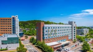 Bachelor of Chinese Studies at Korea University - image 1